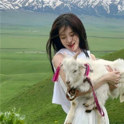 鲜花谷街 在线观看
